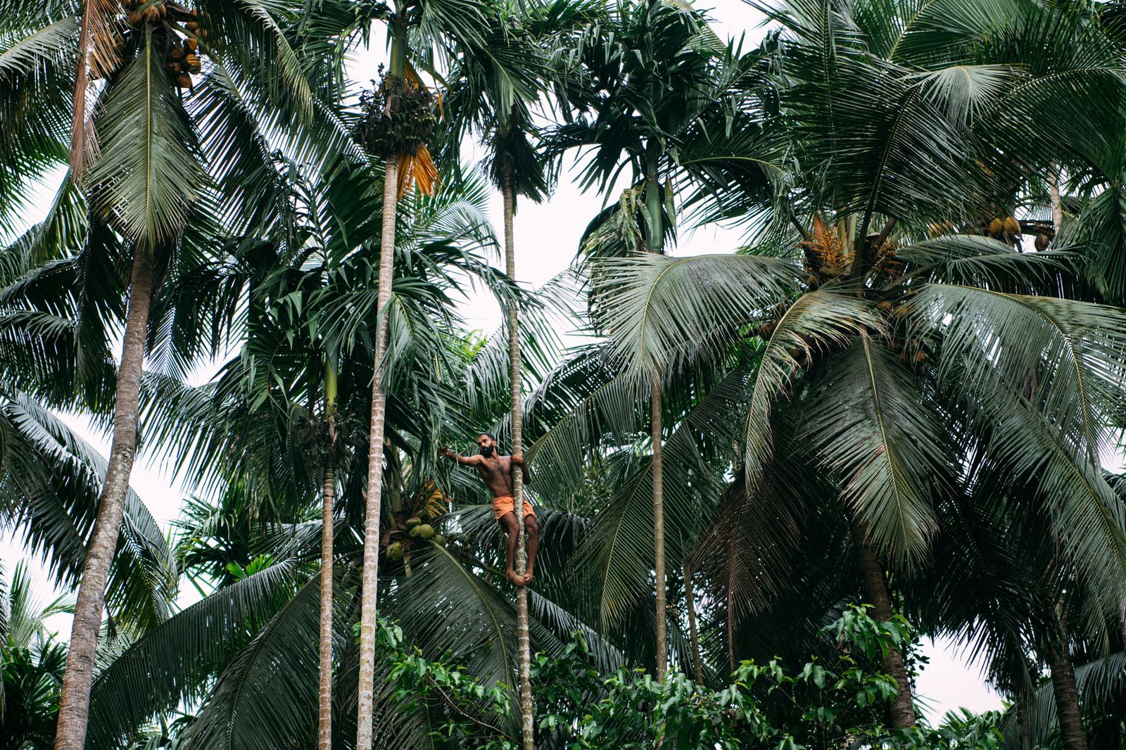 Image 51