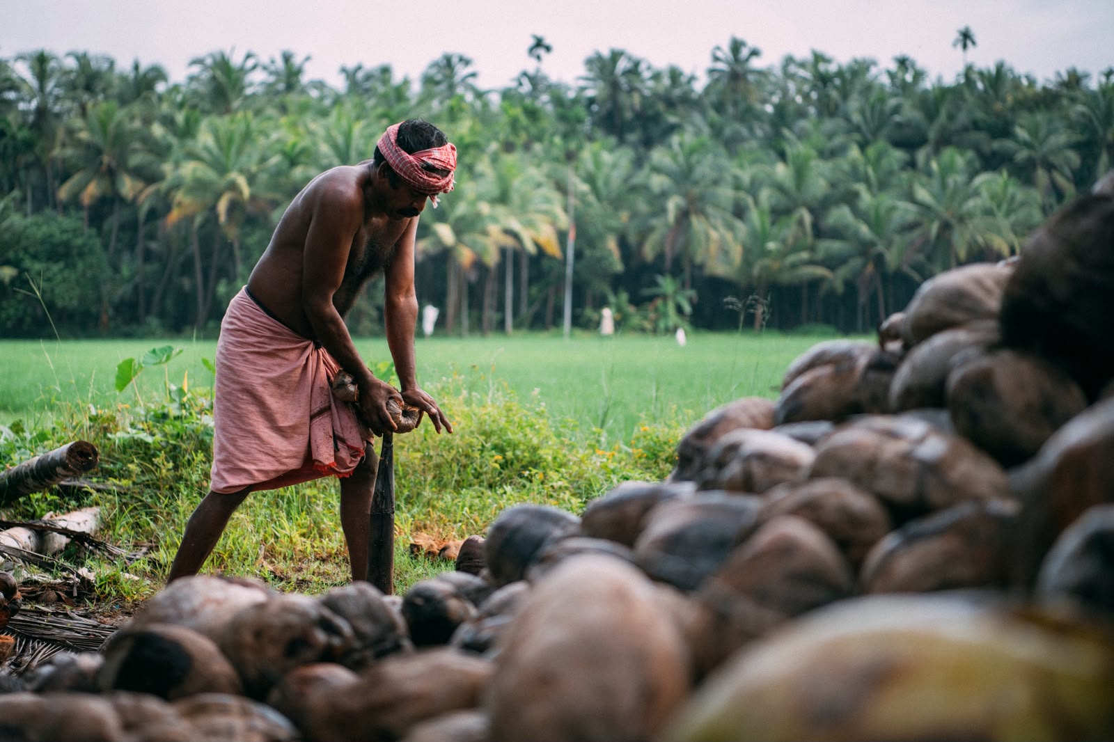 Lessons from Farmers in Kerala | Village Life at Poothali
