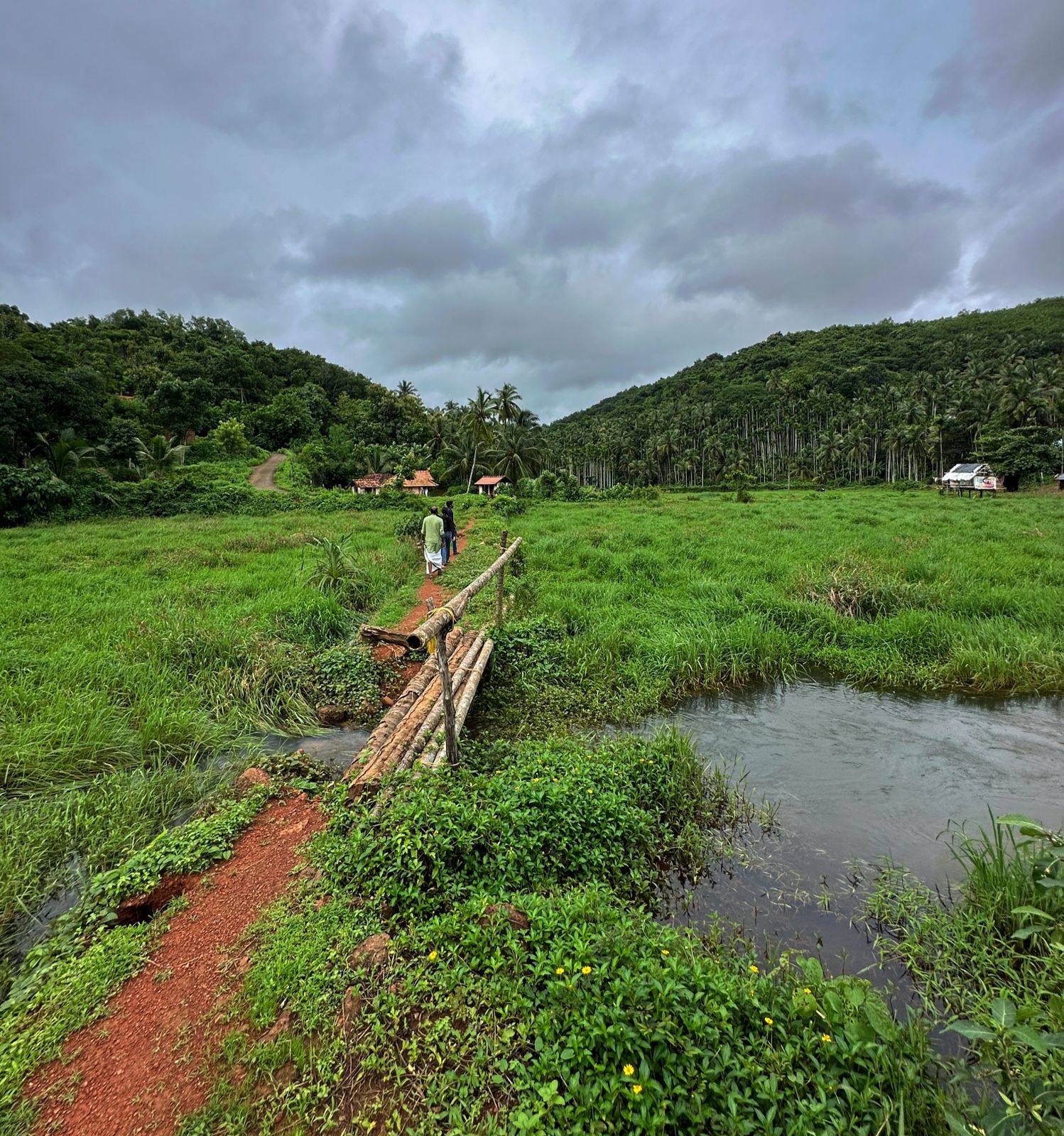 Poothali