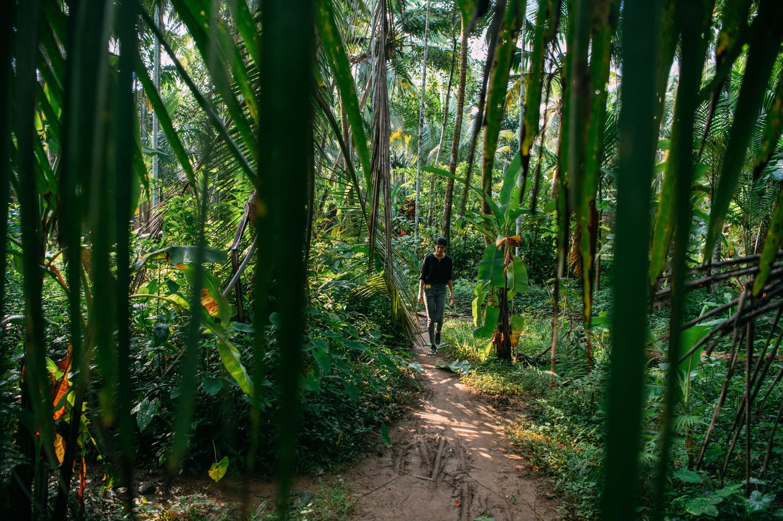 Village Roads in North Kerala: Experience Authentic Kerala with Poothali