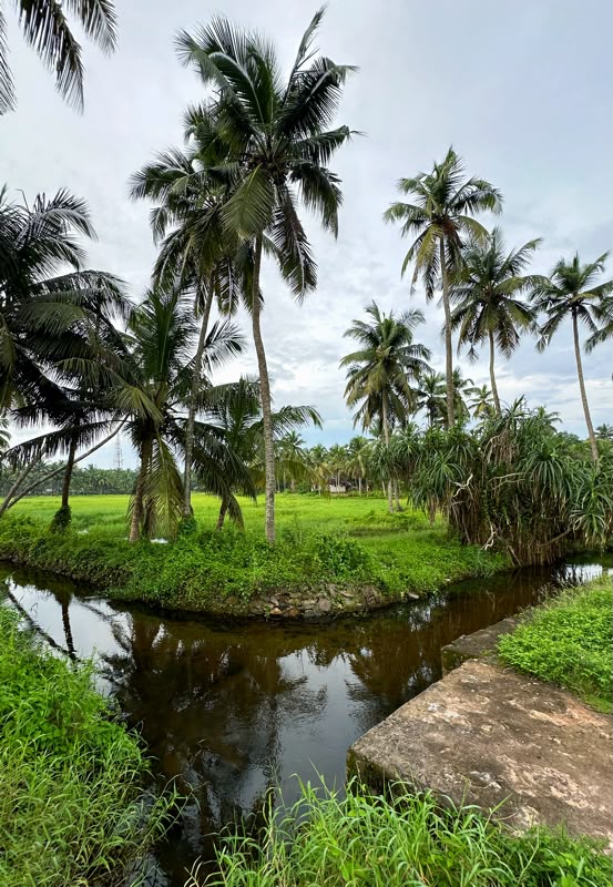 Poothali