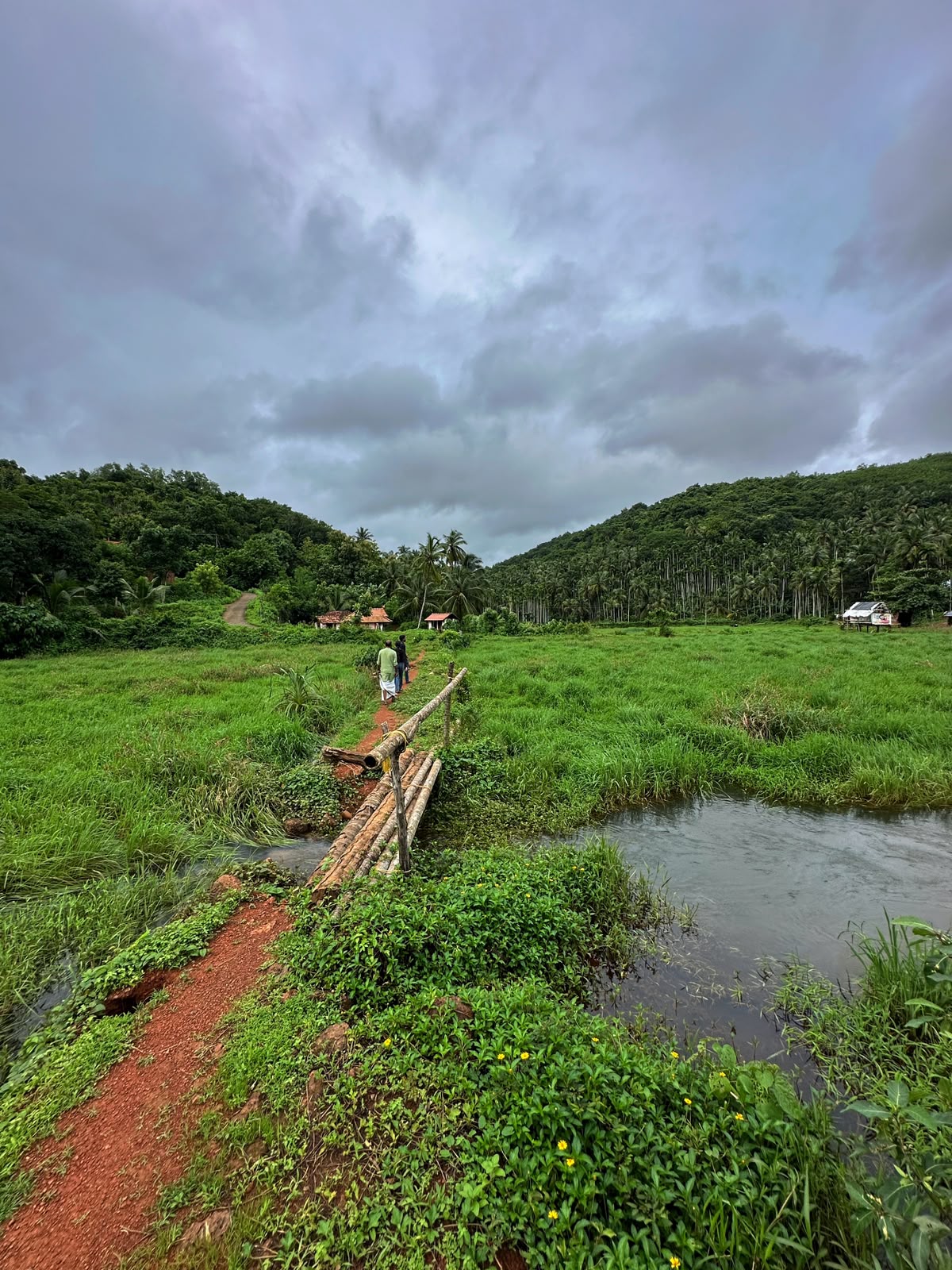 Poothali