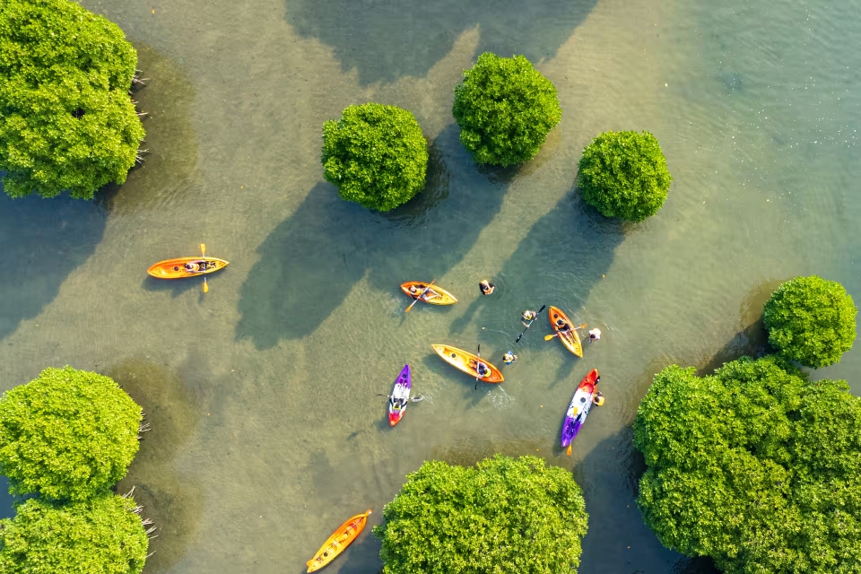 Kayaking in Kavvayi Backwaters