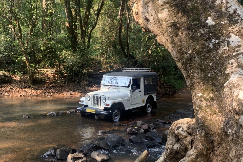 Offroad Ride