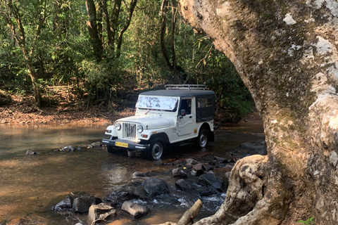 Offroad Ride
