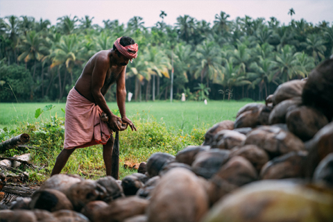 Village Life