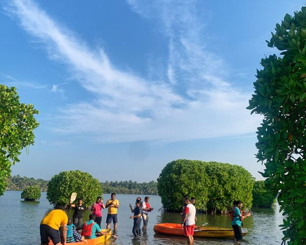 Exploring the Mangrove Trails