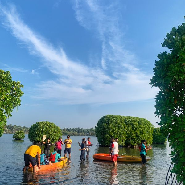 Exploring the Mangrove Trails